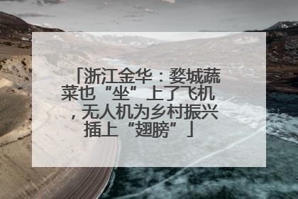 浙江金华：婺城蔬菜也“坐”上了飞机，无人机为乡村振兴插上“翅膀”