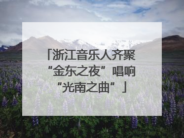 浙江音乐人齐聚“金东之夜”唱响“光南之曲”