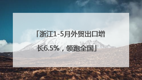 浙江1-5月外贸出口增长6.5%，领跑全国