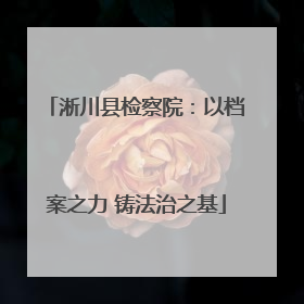 淅川县检察院：以档案之力 铸法治之基