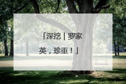 深挖｜罗家英，珍重！
