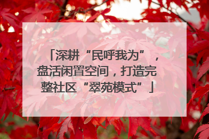 深耕“民呼我为”，盘活闲置空间，打造完整社区“翠苑模式”