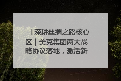 深耕丝绸之路核心区｜美克集团两大战略协议落地，激活新疆开放新动能