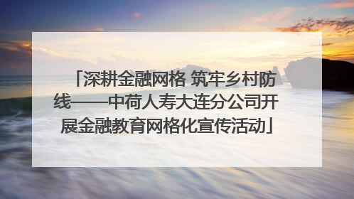 深耕金融网格 筑牢乡村防线——中荷人寿大连分公司开展金融教育网格化宣传活动