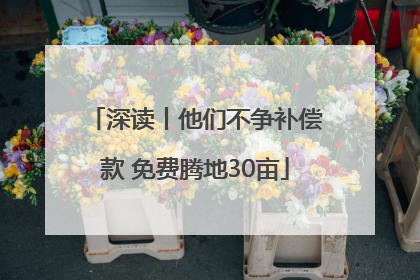 深读丨他们不争补偿款 免费腾地30亩