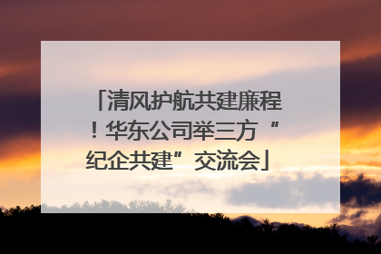清风护航共建廉程！华东公司举三方“纪企共建”交流会