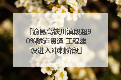 渝昆高铁川滇段超90%隧道贯通 工程建设进入冲刺阶段
