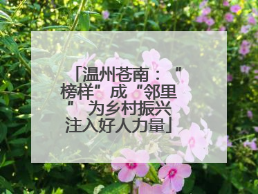温州苍南：“榜样”成“邻里” 为乡村振兴注入好人力量