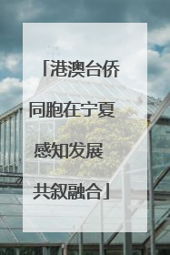 港澳台侨同胞在宁夏感知发展 共叙融合