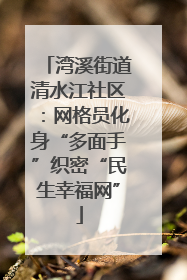 湾溪街道清水江社区：网格员化身“多面手”织密“民生幸福网”