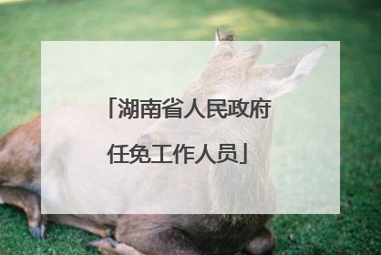 湖南省人民政府任免工作人员