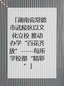 湖南省常德市武陵区以文化立校 推动办学“百花齐放”——每所学校都“精彩”