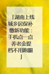 湖南上线城乡居保补缴新功能：手机点一点 养老金提档不用跑腿