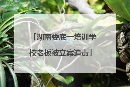 湖南娄底一培训学校老板被立案追责