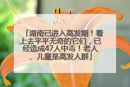 湖南已进入高发期！看上去平平无奇的它们，已经造成47人中毒！老人、儿童是高发人群