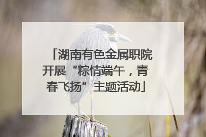 湖南有色金属职院开展“粽情端午，青春飞扬”主题活动