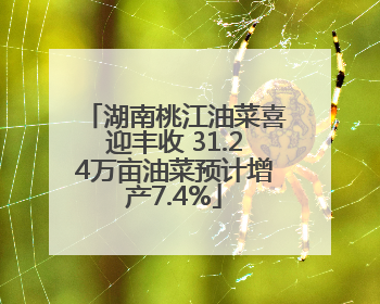 湖南桃江油菜喜迎丰收 31.24万亩油菜预计增产7.4%