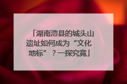 湖南澧县的城头山遗址如何成为“文化地标”？一探究竟