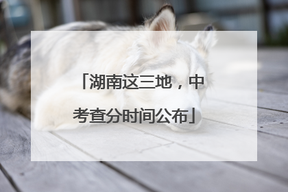 湖南这三地，中考查分时间公布