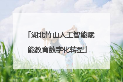 湖北竹山人工智能赋能教育数字化转型