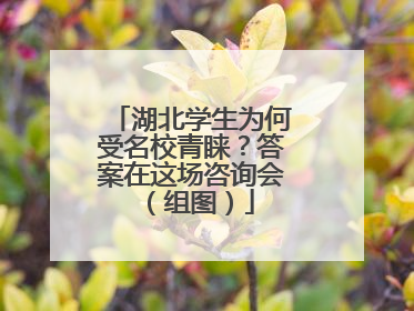 湖北学生为何受名校青睐？答案在这场咨询会（组图）