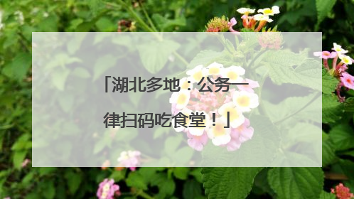 湖北多地：公务一律扫码吃食堂！