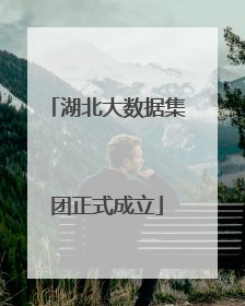 湖北大数据集团正式成立