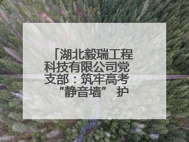 湖北毅瑞工程科技有限公司党支部：筑牢高考“静音墙” 护航学子逐梦路