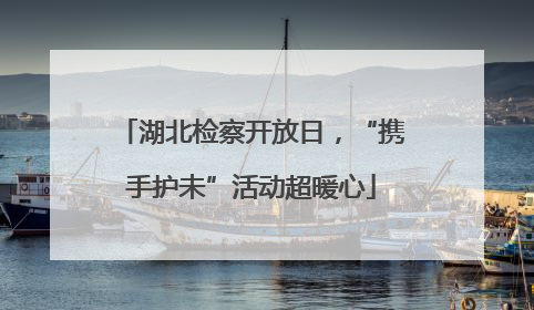 湖北检察开放日，“携手护未”活动超暖心