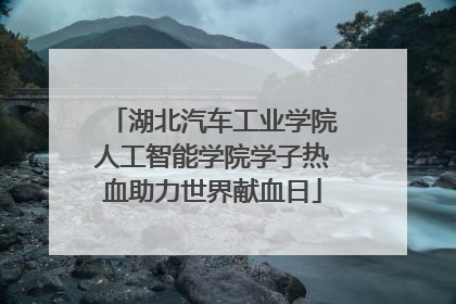 湖北汽车工业学院人工智能学院学子热血助力世界献血日