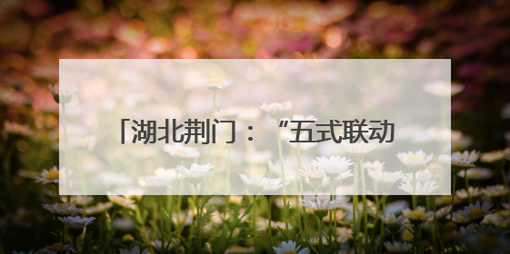 湖北荆门：“五式联动”一体推进精准普法