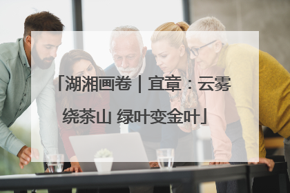 湖湘画卷｜宜章：云雾绕茶山 绿叶变金叶
