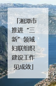 湘潭市推进“三新”领域妇联组织建设工作见成效