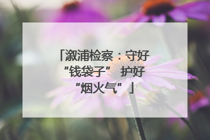 溆浦检察：守好“钱袋子” 护好“烟火气”