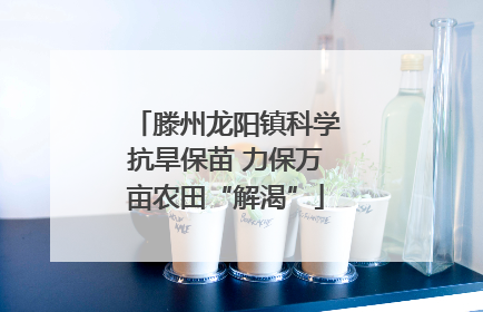 滕州龙阳镇科学抗旱保苗 力保万亩农田“解渴”