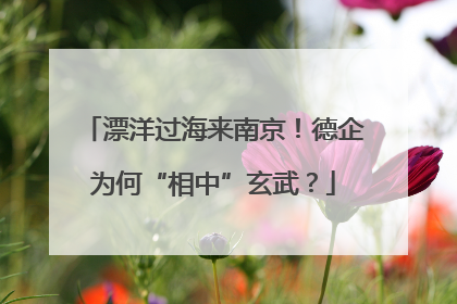 漂洋过海来南京！德企为何“相中”玄武？