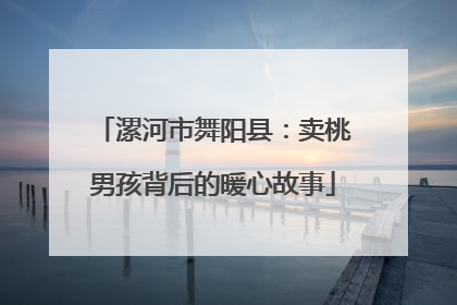 漯河市舞阳县：卖桃男孩背后的暖心故事