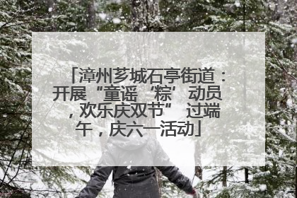漳州芗城石亭街道：开展“童谣‘粽’动员，欢乐庆双节” 过端午，庆六一活动