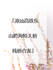 漳汕高铁东山跨海特大桥栈桥合龙