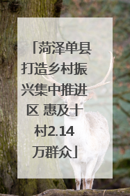 菏泽单县打造乡村振兴集中推进区 惠及十村2.14万群众