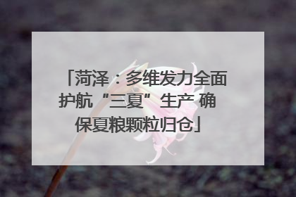 菏泽：多维发力全面护航“三夏”生产 确保夏粮颗粒归仓