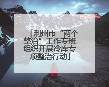 荆州市“两个整治”工作专班组织开展冷库专项整治行动