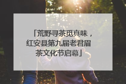 荒野寻茶觅真味，红安县第九届老君眉茶文化节启幕