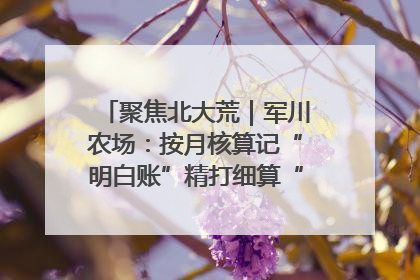 聚焦北大荒｜军川农场：按月核算记“明白账”精打细算“过紧日子”