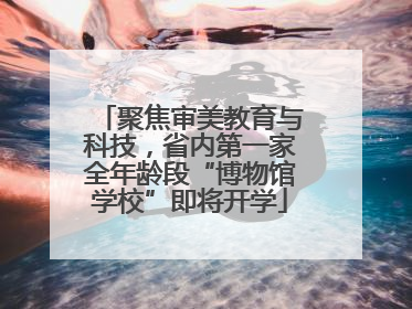 聚焦审美教育与科技，省内第一家全年龄段“博物馆学校”即将开学
