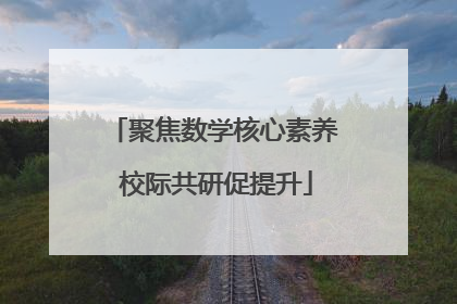 聚焦数学核心素养 校际共研促提升