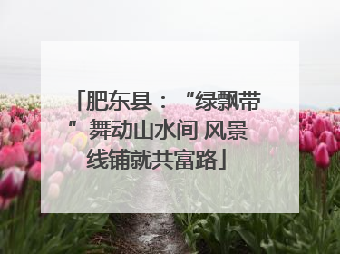 肥东县：“绿飘带”舞动山水间 风景线铺就共富路