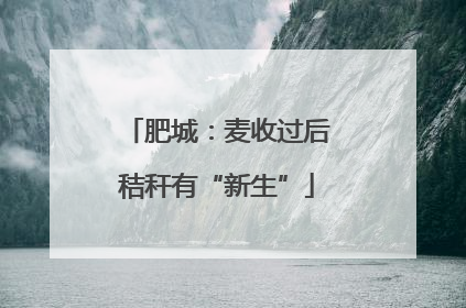 肥城：麦收过后秸秆有“新生”