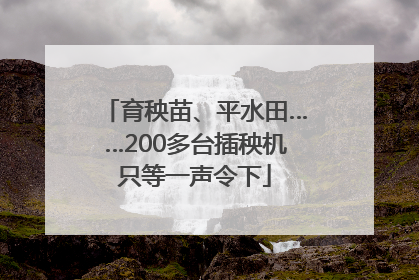 育秧苗、平水田……200多台插秧机只等一声令下