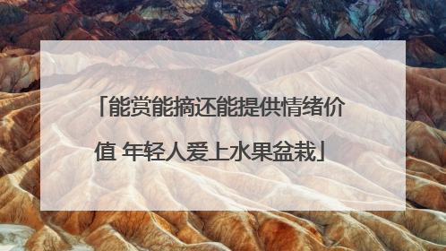 能赏能摘还能提供情绪价值 年轻人爱上水果盆栽